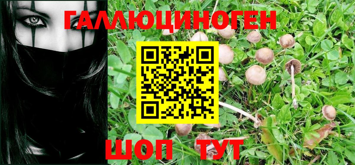 Лабытнанги  наркотики  Псилоцибиновые грибы Magic Shrooms  Вход с VPN  Псилоцибиновые грибы мухоморы 